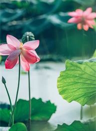 welcome大发系统-追求康健,你我一起生长