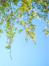 welcome大发系统-追求康健,你我一起生长