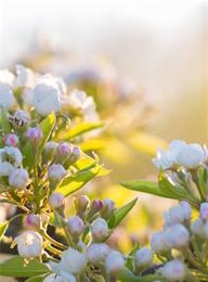 welcome大发系统-追求康健,你我一起生长