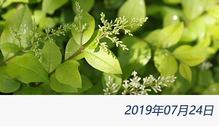 welcome大发系统-追求康健,你我一起生长