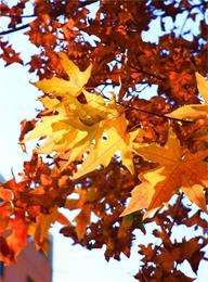 welcome大发系统-追求康健,你我一起生长