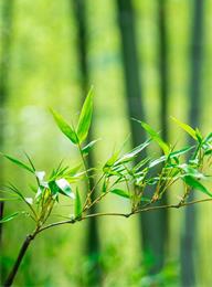 welcome大发系统-追求康健,你我一起生长