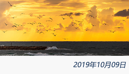 welcome大发系统-追求康健,你我一起生长