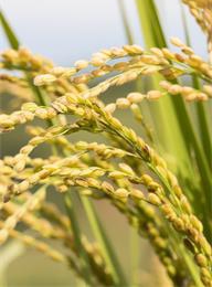 welcome大发系统-追求康健,你我一起生长