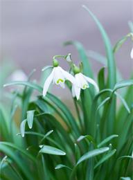 welcome大发系统-追求康健,你我一起生长