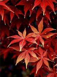 welcome大发系统-追求康健,你我一起生长