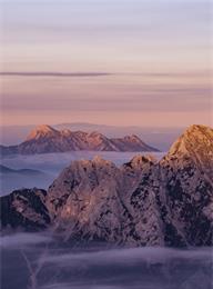 welcome大发系统-追求康健,你我一起生长