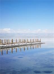 welcome大发系统-追求康健,你我一起生长