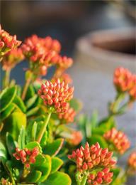 welcome大发系统-追求康健,你我一起生长