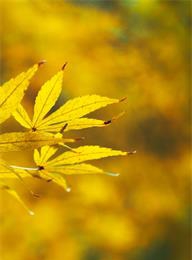 welcome大发系统-追求康健,你我一起生长