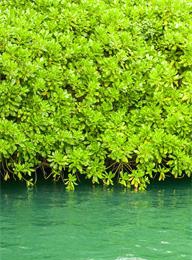 welcome大发系统-追求康健,你我一起生长