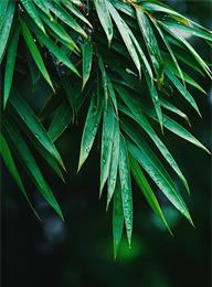 welcome大发系统-追求康健,你我一起生长