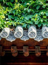 welcome大发系统-追求康健,你我一起生长