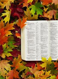 welcome大发系统-追求康健,你我一起生长