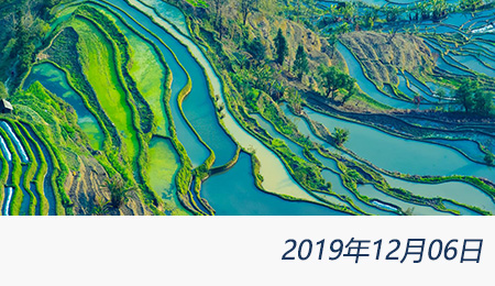 welcome大发系统-追求康健,你我一起生长