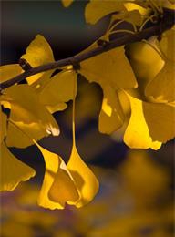 welcome大发系统-追求康健,你我一起生长