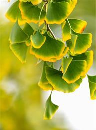 welcome大发系统-追求康健,你我一起生长