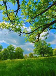 welcome大发系统-追求康健,你我一起生长