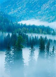 welcome大发系统-追求康健,你我一起生长