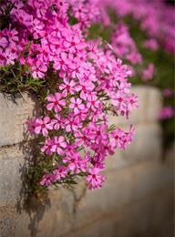 welcome大发系统-追求康健,你我一起生长