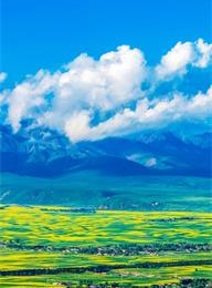 welcome大发系统-追求康健,你我一起生长