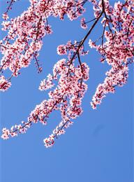 welcome大发系统-追求康健,你我一起生长