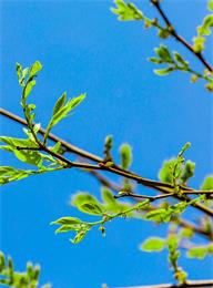 welcome大发系统-追求康健,你我一起生长