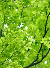 welcome大发系统-追求康健,你我一起生长