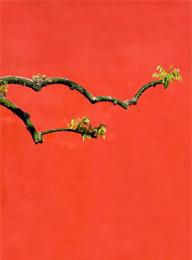 welcome大发系统-追求康健,你我一起生长