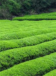 welcome大发系统-追求康健,你我一起生长