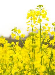 welcome大发系统-追求康健,你我一起生长