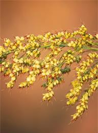 welcome大发系统-追求康健,你我一起生长