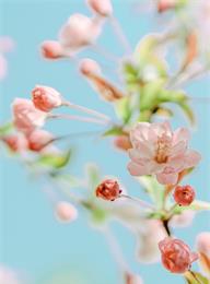 welcome大发系统-追求康健,你我一起生长