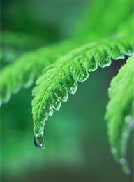 welcome大发系统-追求康健,你我一起生长