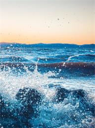 welcome大发系统-追求康健,你我一起生长