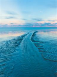 welcome大发系统-追求康健,你我一起生长