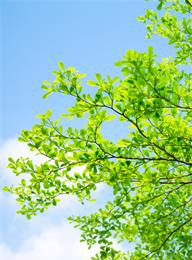 welcome大发系统-追求康健,你我一起生长