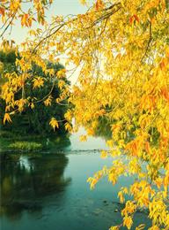 welcome大发系统-追求康健,你我一起生长