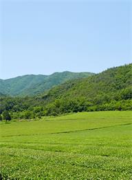 welcome大发系统-追求康健,你我一起生长