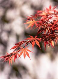 welcome大发系统-追求康健,你我一起生长