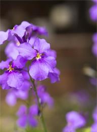 welcome大发系统-追求康健,你我一起生长