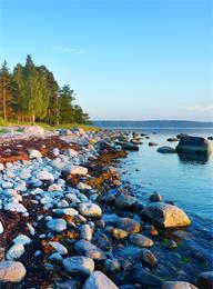 welcome大发系统-追求康健,你我一起生长