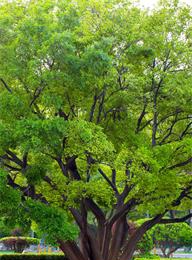 welcome大发系统-追求康健,你我一起生长