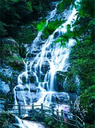 welcome大发系统-追求康健,你我一起生长