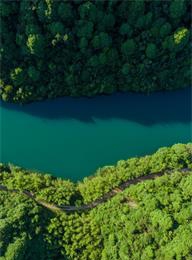 welcome大发系统-追求康健,你我一起生长