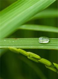 welcome大发系统-追求康健,你我一起生长