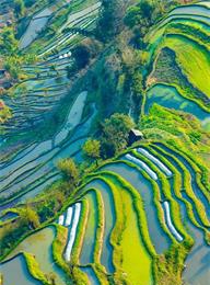 welcome大发系统-追求康健,你我一起生长