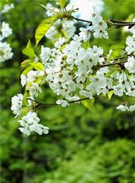 welcome大发系统-追求康健,你我一起生长