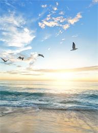 welcome大发系统-追求康健,你我一起生长