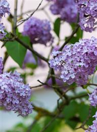 welcome大发系统-追求康健,你我一起生长